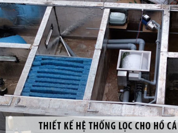 Cách Bố Trí Lọc Hồ Cá Koi: Bí Quyết Tạo Nên Hồ Cá Đẹp, Sạch, Chuẩn Phong Thủy