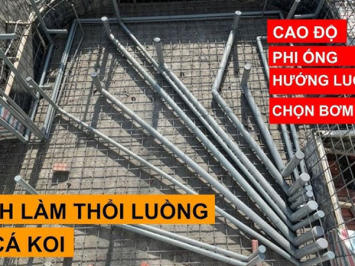 Cách Làm Thổi Luồng Cho Hồ Cá Koi: Hướng Dẫn Chi Tiết Từ A-Z