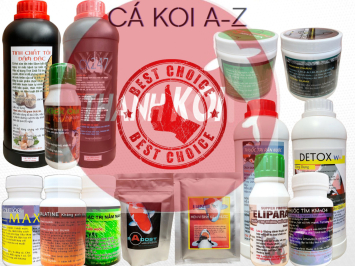 Cách Phòng Bệnh Cho Cá Koi: Hướng Dẫn Chi Tiết Để Nuôi Cá Koi Khỏe Mạnh