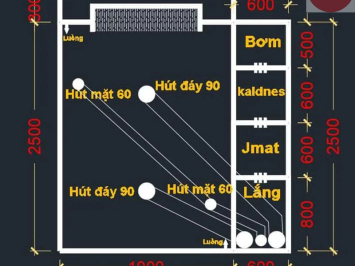 Sơ đồ nguyên lý hệ thống lọc hồ cá Koi: Bí quyết giữ nước trong sạch cho hồ cá