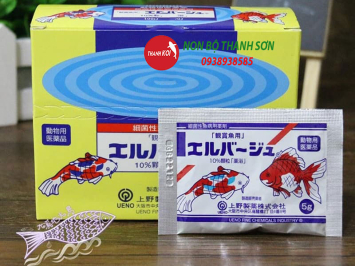 Tetra Nhật Trị Bệnh Gì? Hướng Dẫn Sử Dụng Hiệu Quả Cho Cá Cảnh