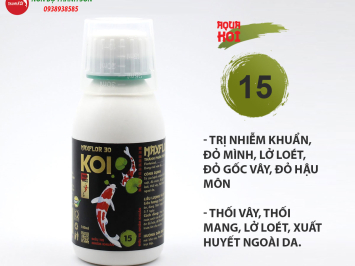 Thuốc trị lở loét cho cá Koi