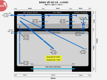 Kích thước hồ cá Koi theo tiêu chuẩn như thế nào?