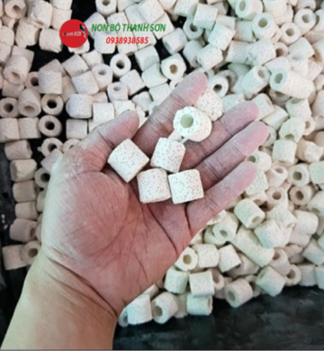Sứ Nhẫn Trắng – Vật Liệu Lọc Cao Cấp Hồ Cá