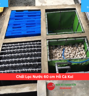 Chổi Lọc Nước 60 cm Hồ Cá Koi