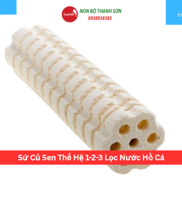 Sứ Củ Sen Thế Hệ 1-2-3 Lọc Nước Hồ Cá