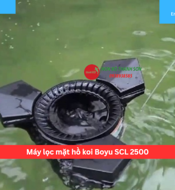 Máy lọc mặt hồ koi Boyu SCL 2500