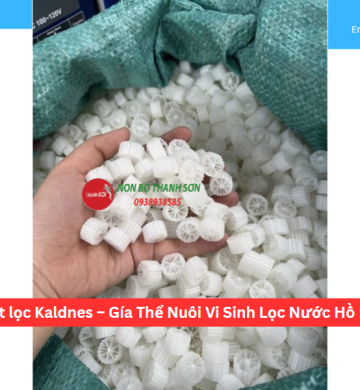 Hạt lọc Kaldnes – Gía Thể Nuôi Vi Sinh Lọc Nước Hồ Koi