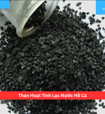 Than Hoạt Tính Lọc Nước Hồ Cá