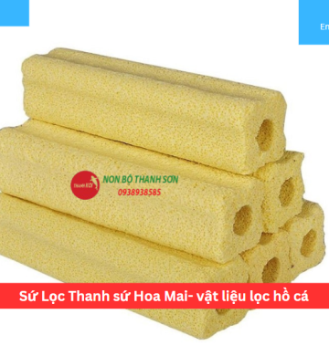 Sứ Lọc Thanh sứ Hoa Mai- vật liệu lọc hồ cá