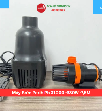 Máy Bơm Perih Pb 31000 -330W -7,5M