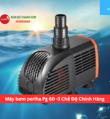 Máy bơm periha Pg 60 -3 Chế Độ Chính Hãng