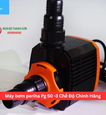 Máy bơm periha Pg 50 -3 Chế Độ Chính Hãng