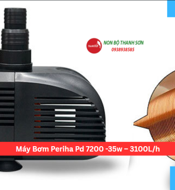 Máy Bơm Periha Pd 7200 -35w – 3100L/h