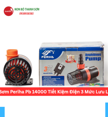 Máy Bơm Periha Pb 14000 Tiết Kiệm Điện 3 Mức Lưu Lượng