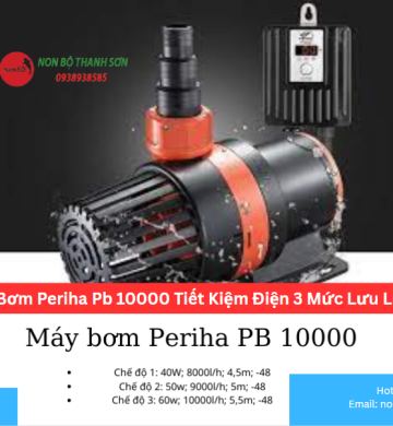 Máy Bơm Periha Pb 10000 Tiết Kiệm Điện 3 Mức Lưu Lượng