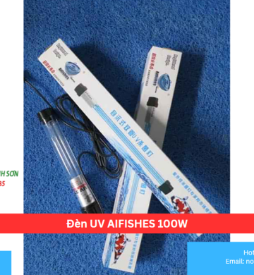 Đèn UV AIFISHES 100W