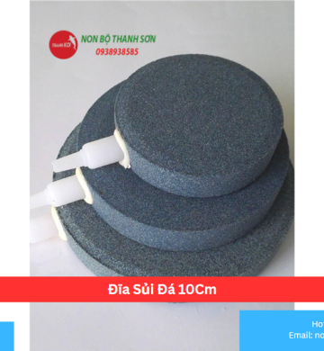 Đĩa Sủi Đá 10Cm