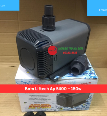 Bơm Liftech Ap 5400 – 150w