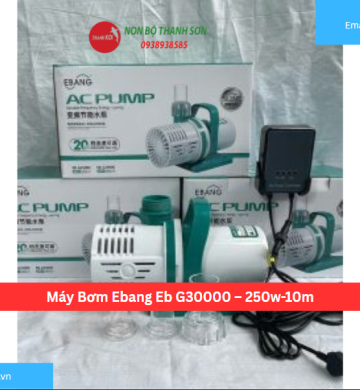 Máy Bơm Ebang Eb G30000 – 250w-10m