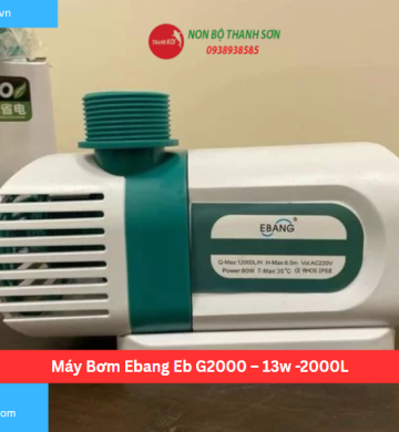 Máy Bơm Ebang Eb G2000 – 13w -2000L