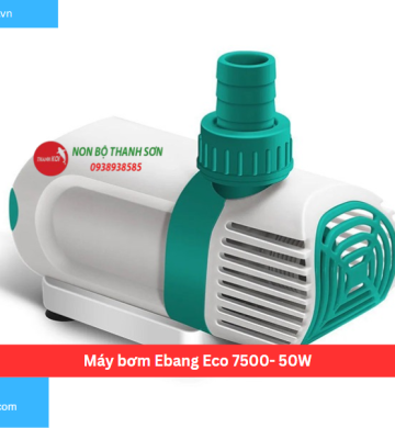 Máy bơm Ebang Eco 7500- 50W
