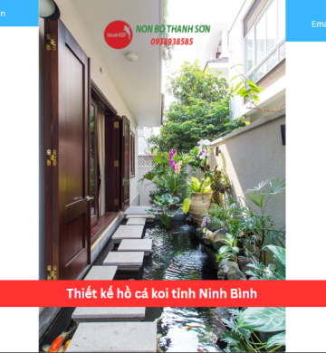 Thiết kế hồ cá koi tỉnh Ninh Bình
