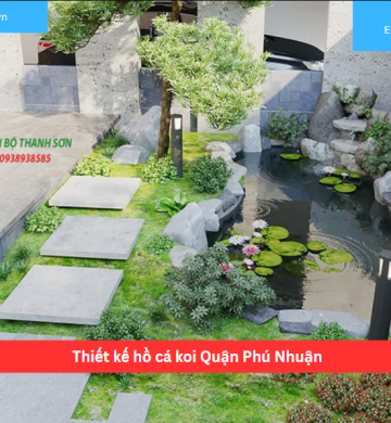 Thiết kế hồ cá koi Quận Phú Nhuận
