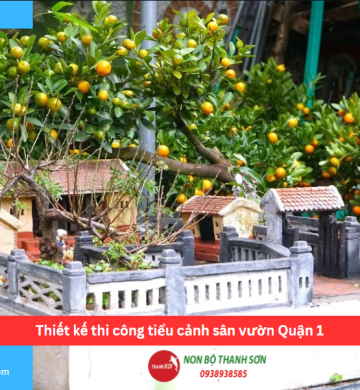 Thiết kế thi công tiểu cảnh sân vườn Quận 1