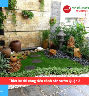 Thiết kế thi công tiểu cảnh sân vườn Quận 3