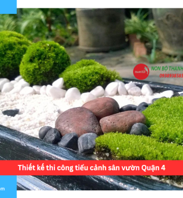 Thiết kế thi công tiểu cảnh sân vườn Quận 4