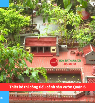 Thiết kế thi công tiểu cảnh sân vườn Quận 6