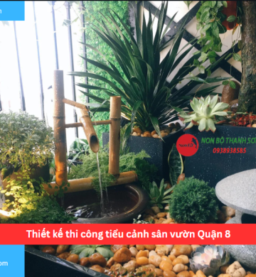 Thiết kế thi công tiểu cảnh sân vườn Quận 8