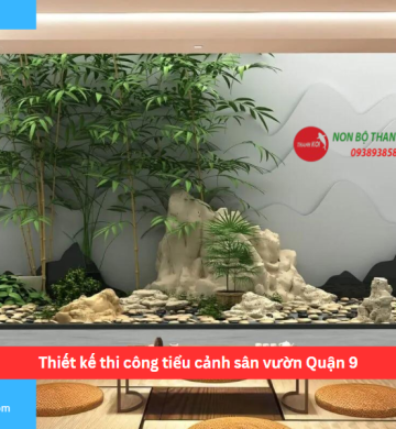 Thiết kế thi công tiểu cảnh sân vườn Quận 9