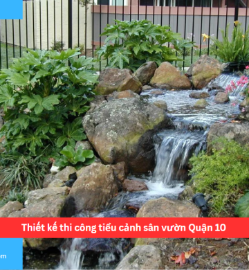 Thiết kế thi công tiểu cảnh sân vườn Quận 10