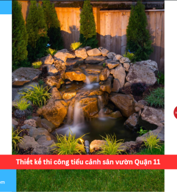 Thiết kế thi công tiểu cảnh sân vườn Quận 11
