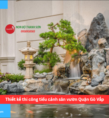 Thiết kế thi công tiểu cảnh sân vườn Quận Gò Vấp