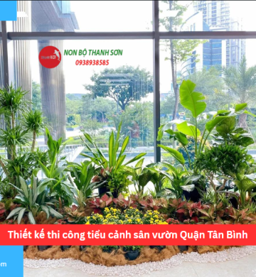 Thiết kế thi công tiểu cảnh sân vườn Quận Tân Bình