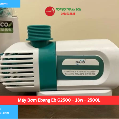 Máy Bơm Ebang Eb G2500 – 18w – 2500L