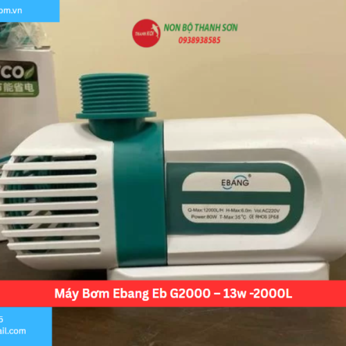 Máy Bơm Ebang Eb G2000 – 13w -2000L