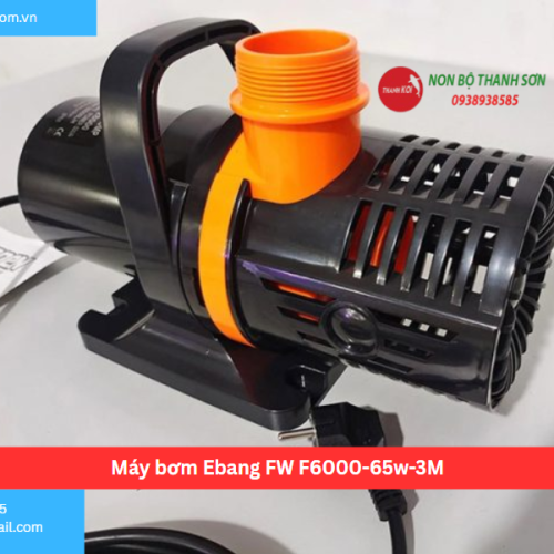 Máy bơm Ebang FW F6000-65w-3M