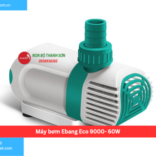 Máy bơm Ebang Eco 9000- 60W