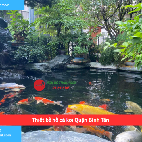 Bảng báo giá thiết kế hồ cá koi Quận Bình Tân