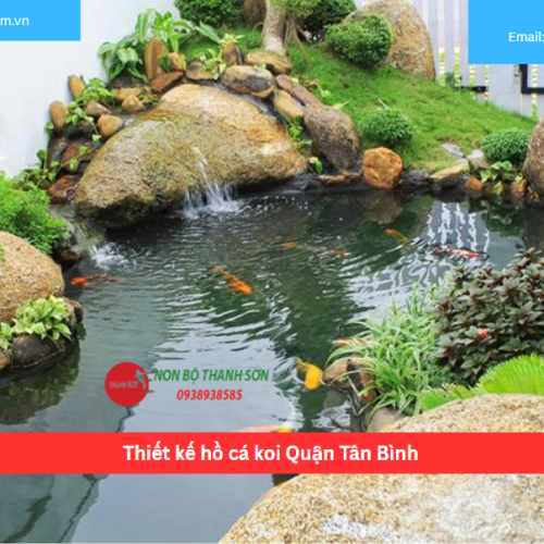 Bảng báo giá thiết kế hồ cá koi Quận Tân Bình