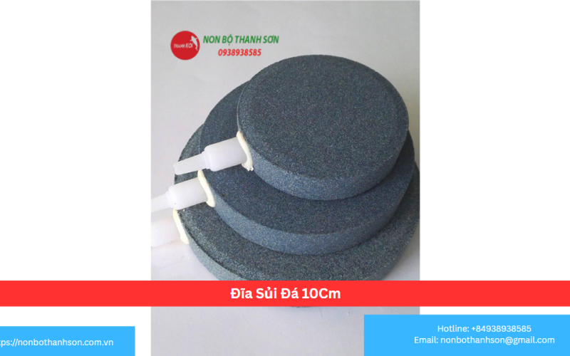Đĩa Sủi Đá 10Cm