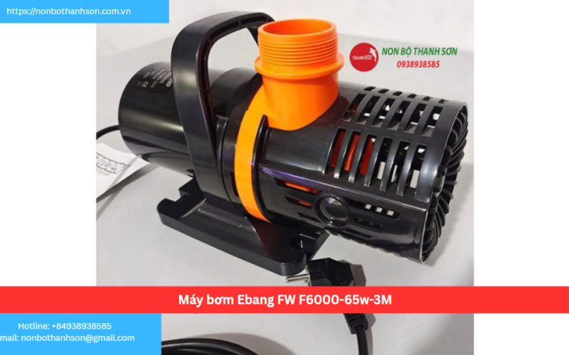 Máy bơm Ebang FW F6000-65w-3M