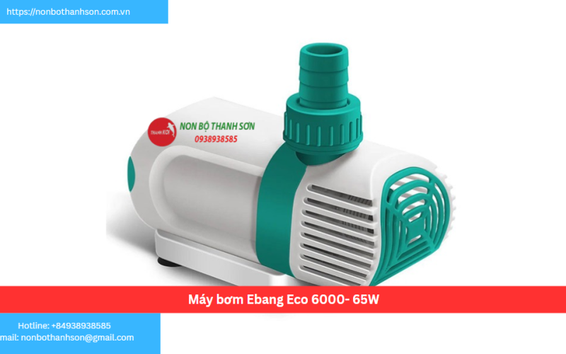 Máy bơm Ebang Eco 6000- 65W