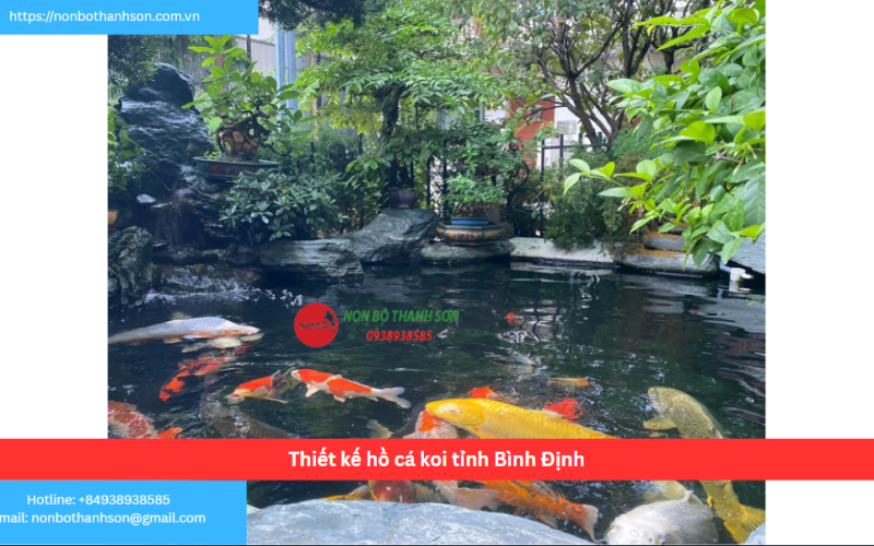 Bảng báo giá thiết kế hồ cá koi tỉnh Bình Định