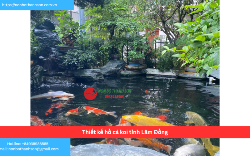 Bảng báo giá thiết kế hồ cá koi tỉnh Lâm Đồng