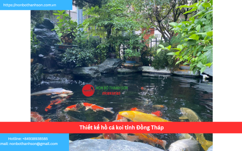 Bảng báo giá thiết kế hồ cá koi tỉnh Đồng Tháp